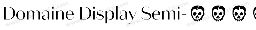 Domaine Display Semi字体转换